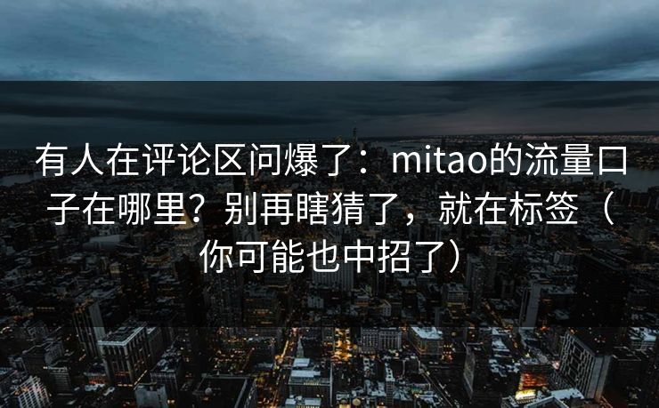有人在评论区问爆了:mitao的流量口子在哪里?别再瞎猜了,就在标签(你可能也中招了) 有人在评论区问爆了:mitao的流量口子在哪里?别再瞎猜了,就在标签(你可能也中招了)