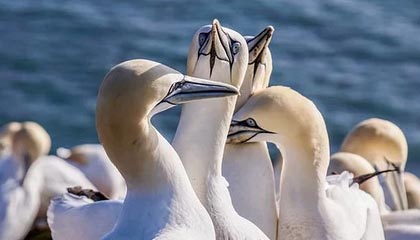 【速报】黑料深度揭秘:真相风波背后,主持人在机场贵宾室的角色异常令人意外